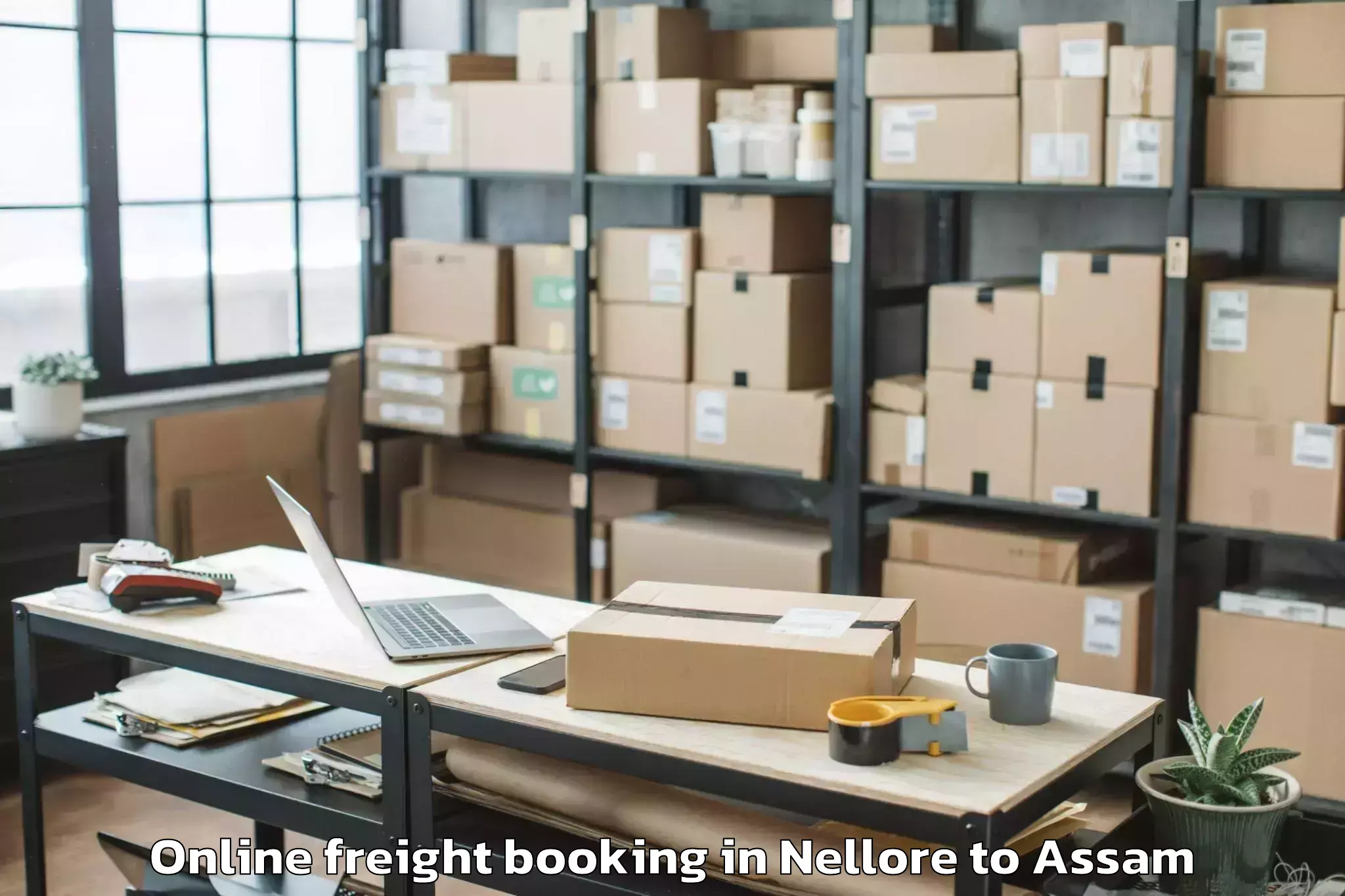 Trusted Nellore to Dibrugarh University Online Freight Booking